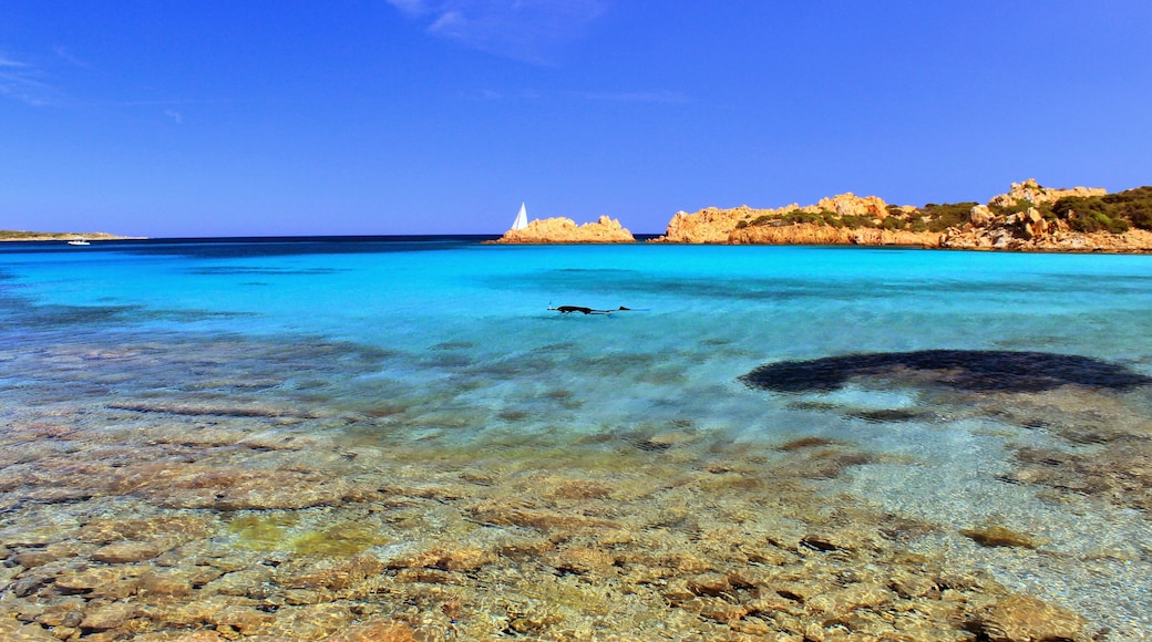 07024 La Maddalena, Province of Olbia-Tempio, Italy