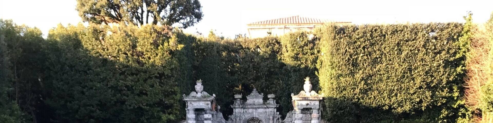 Incredibly beautiful and spacious place !