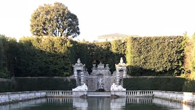 Incredibly beautiful and spacious place !