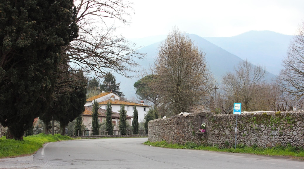 Vorno, hamlet of Capannori, Province of Lucca, Tuscany, Italy