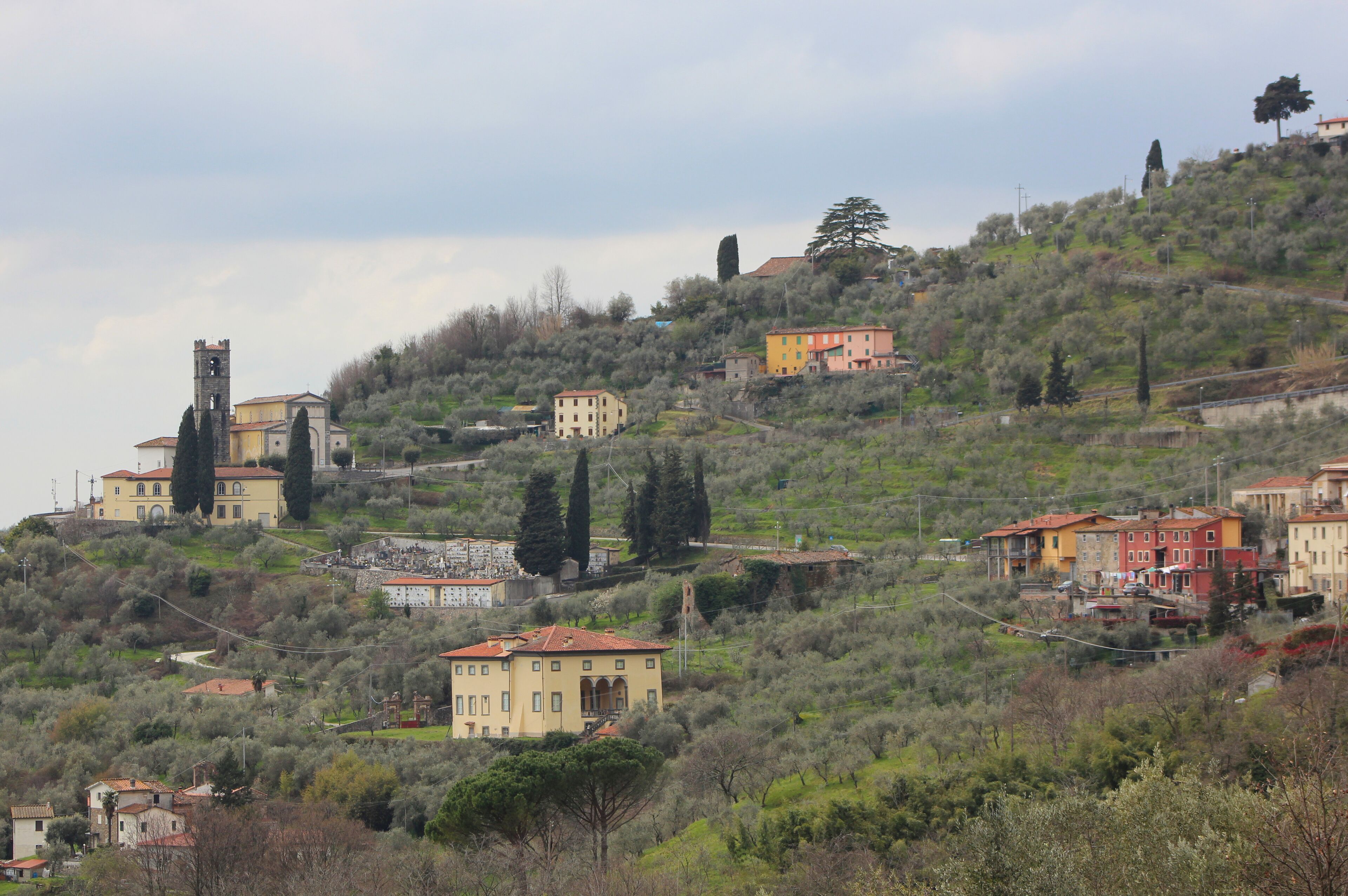 A hillside village with historic buildings, a church with a bell tower, and olive groves.
