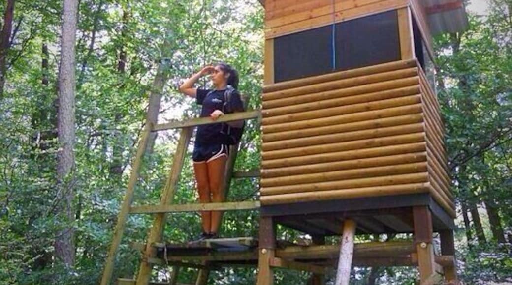 Great little town in Germany! Great hiking trails and great local beer called Keiler Bier. Wish it was available in the United States!
Fun fact: Lohr inspired the Brothers Grimm's fairy tale "Snow White".
#snowwhite #hiking #boarhunting #KeilerBier #localsecrets