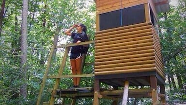 Great little town in Germany! Great hiking trails and great local beer called Keiler Bier. Wish it was available in the United States!
Fun fact: Lohr inspired the Brothers Grimm's fairy tale "Snow White".
#snowwhite #hiking #boarhunting #KeilerBier #localsecrets