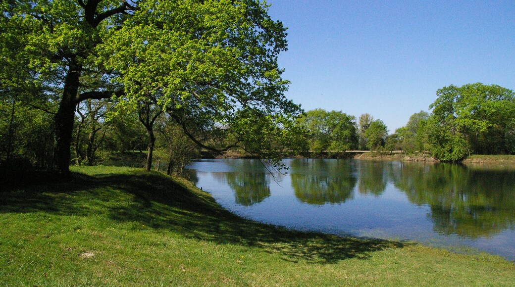 Neujahrsloch Erfeldeb