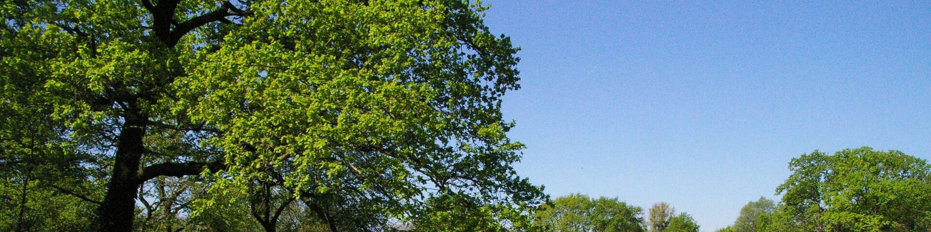 Neujahrsloch Erfeldeb