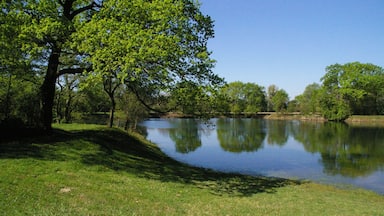Neujahrsloch Erfeldeb