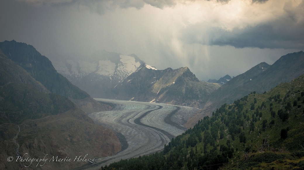 The Aletsch Glacier or Great Aletsch Glacier is the largest glacier in the Alps. It has a length of about 23 km (14 mi) (2014),has about a volume of 15.4 km3 and covers about 81.7 km2 in the eastern Bernese Alps in the Swiss canton of Valais. The Aletsch Glacier is composed of four smaller glaciers converging at Concordia Place, where its thickness was measured by the ETH to be still near 1 km. It then continues towards the RhĂŽne valley before giving birth to the Massa. The Aletsch Glacier is â like most glaciers on this world â a retreating glacier. Amazing place for a day trip or long distance hike. Many cable cars around so easy access for lazy ppl.
https://www.youtube.com/watch?v=2vwO6ulzBk8&t=143s
Thanks for watching&subscribing