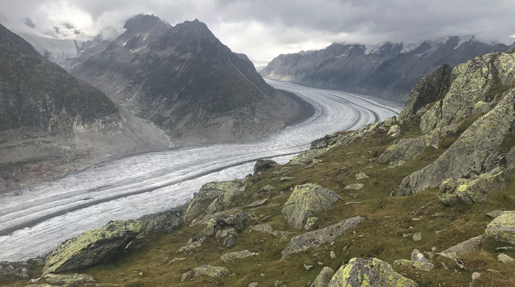 Aletsch Glacier viewed from Bettermhorn (Swiss Alps) #TakeAHike