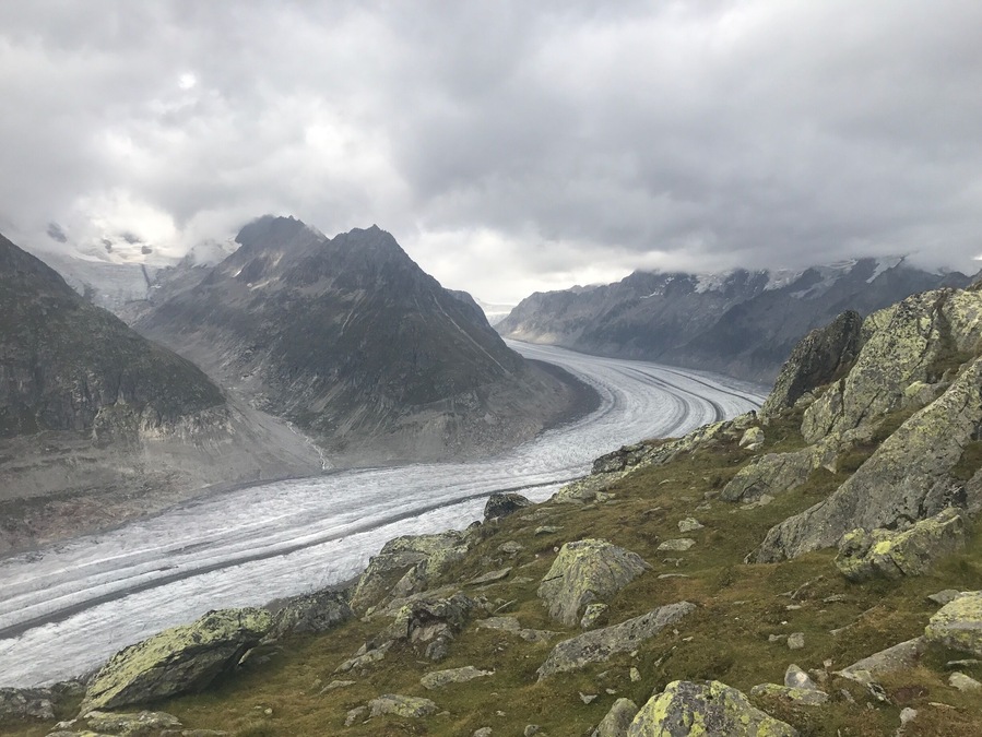 Aletsch Glacier viewed from Bettermhorn (Swiss Alps) #TakeAHike