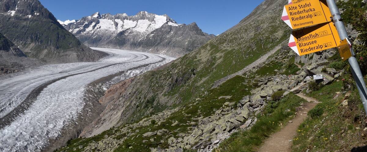 Le glacier d'Aletsch l'Ă©tĂ© passĂ© âïž