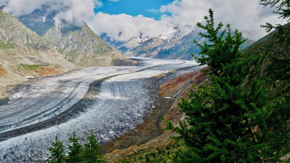 A glacier valley with a glacier, mountains, and coniferous trees.