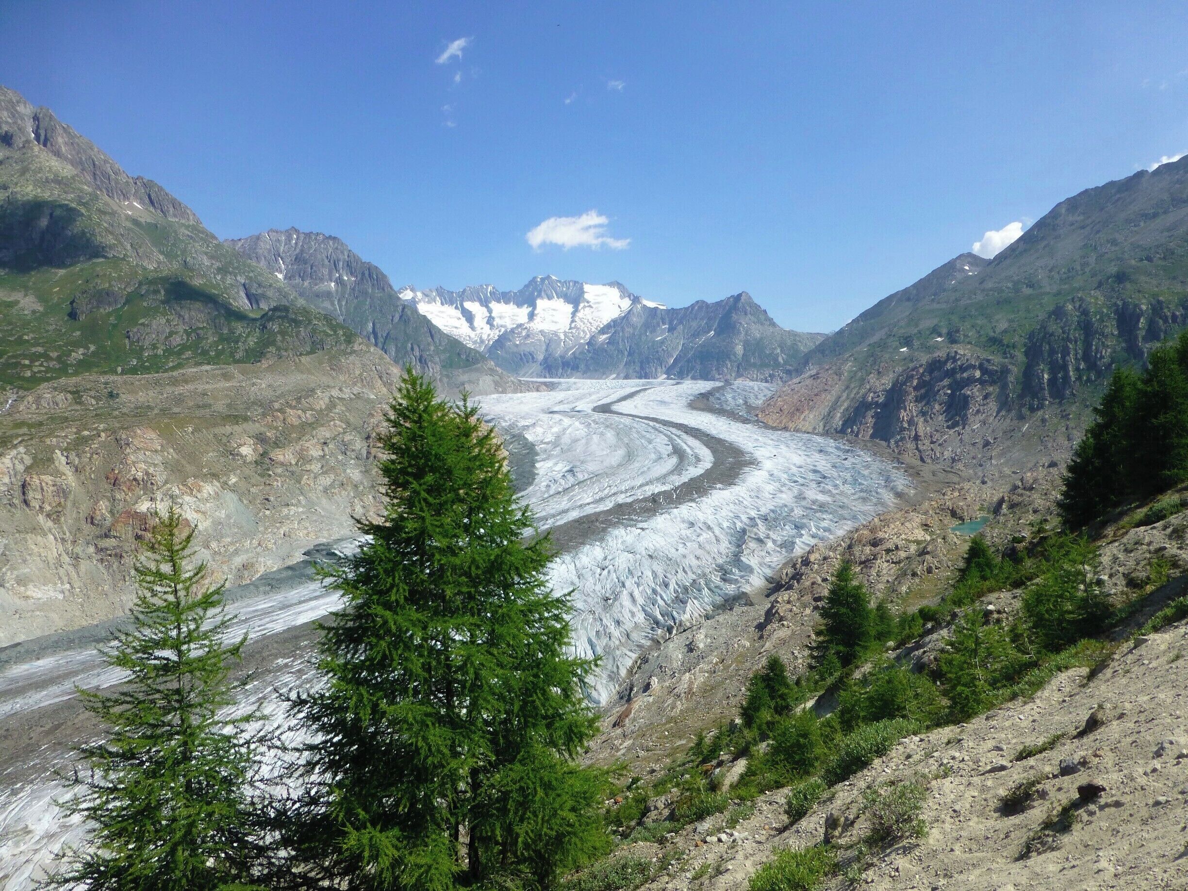 Biggest glacier in the alps.