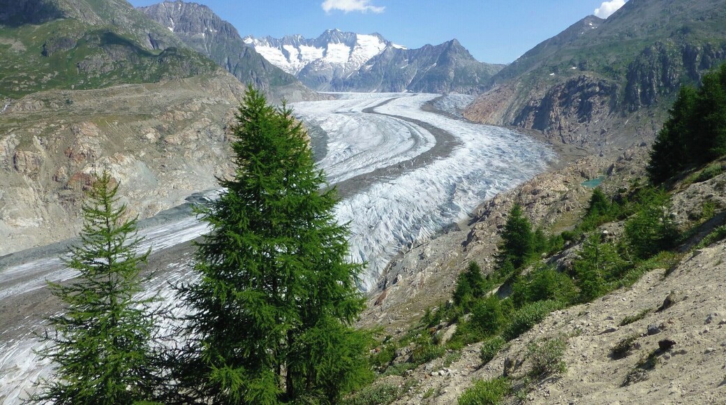 Biggest glacier in the alps.