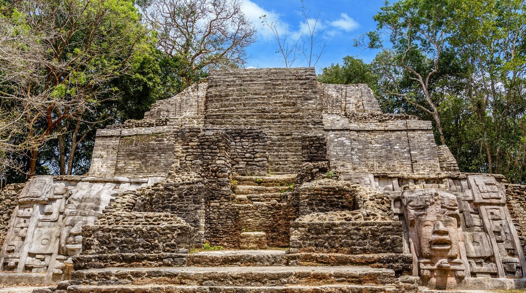 A stone pyramid with steps and intricate carvings, surrounded by trees.
