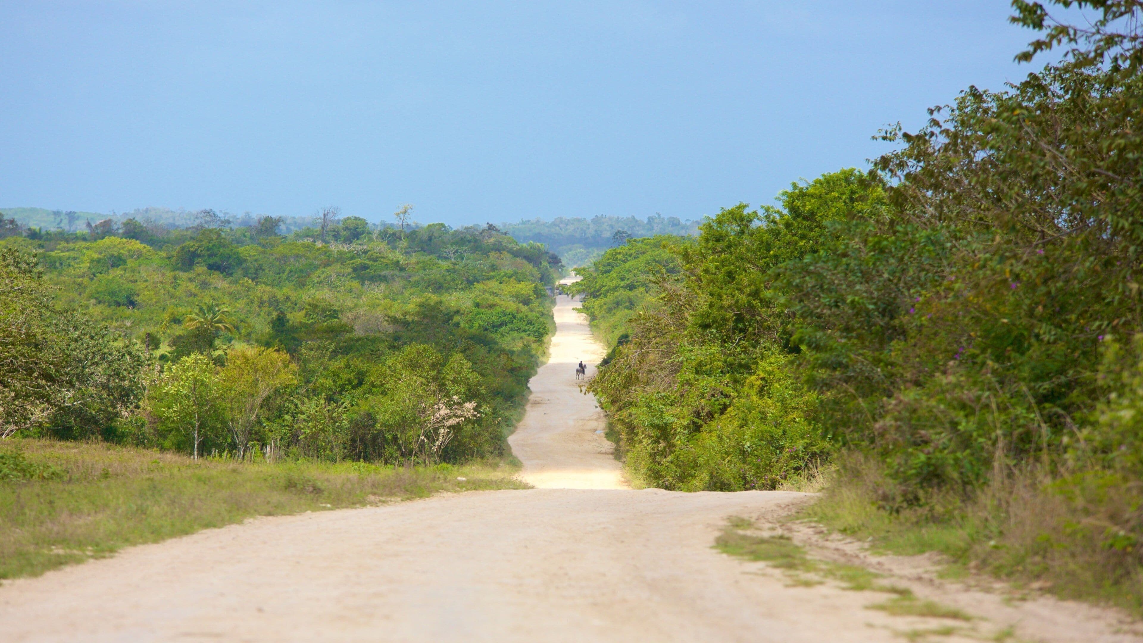 Orange Walk featuring tranquil scenes