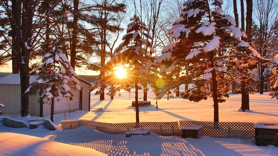 A snowy landscape with trees and a fence during sunset.