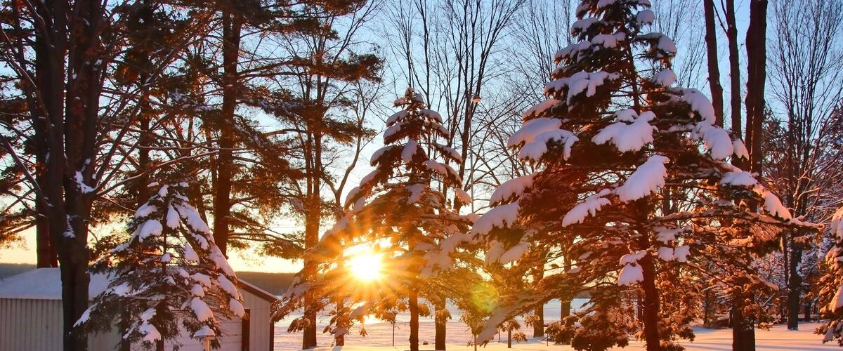 A snowy landscape with trees and a fence during sunset.