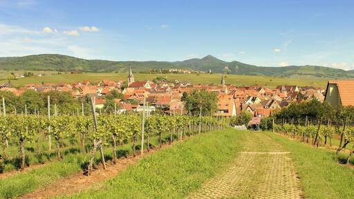 2017-05-21-10-43-55_Les Forts Trotters_au Sentier des Grands Crus