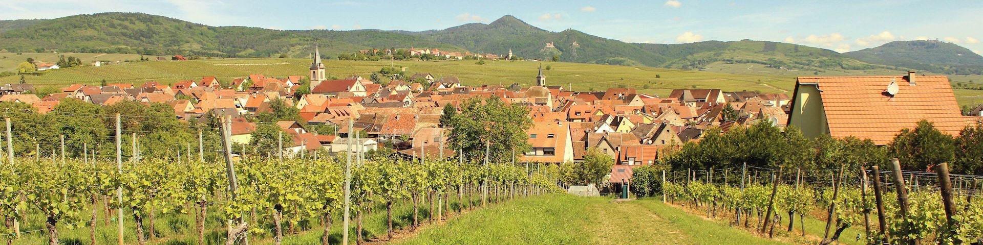 2017-05-21-10-43-55_Les Forts Trotters_au Sentier des Grands Crus