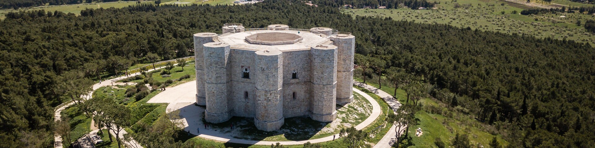 A large stone castle surrounded by a forested area with a clear sky.