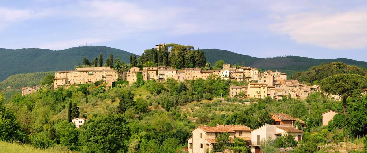 A hillside village with historic buildings and lush greenery.