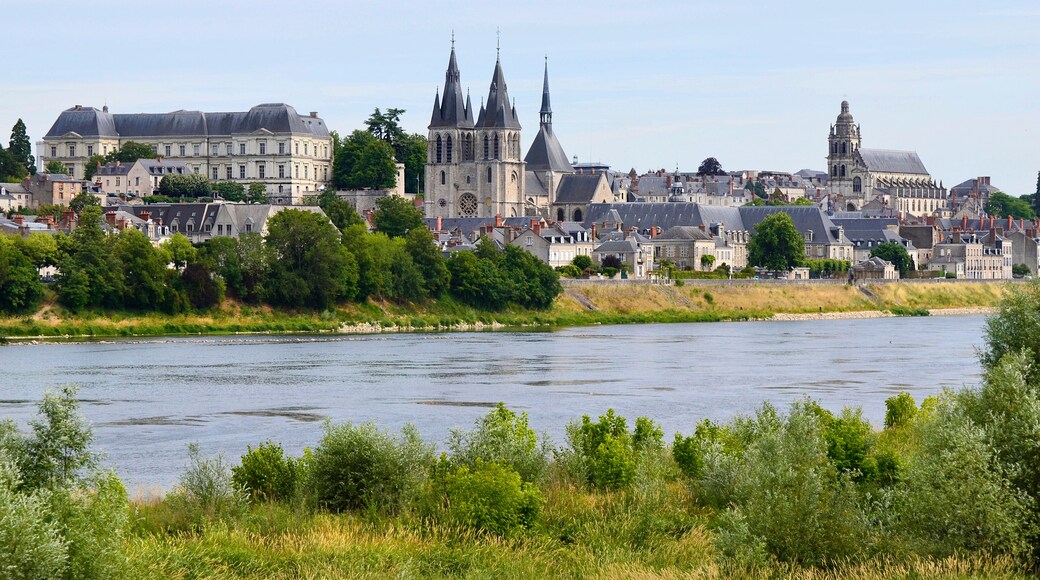 Saint-Gervais-la-ForĂȘt