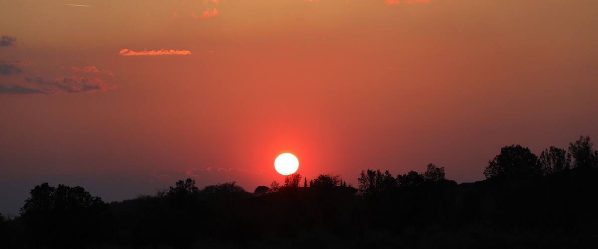 A sunset with the sun low on the horizon, silhouetted trees, and scattered clouds.