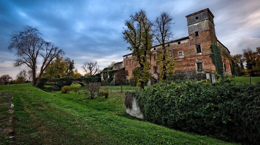 نوجارول روكا