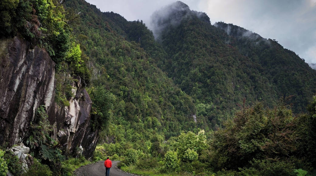 The Carretera Austral start at Puerto Montt, where you have to take a ferry to Caleta Puelche. An interesting alternative is to surround the Estero Reloncavi where you can find this incredible landscape.
#BvSPatagonia
#Carreteraaustral #Patagonia #Chile