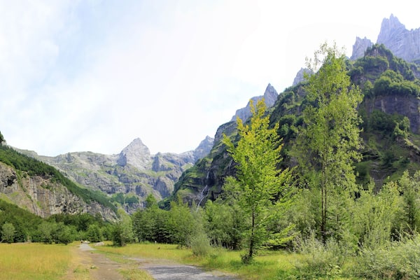 Un paysage montagneux avec un sentier de terre, une forêt verdoyante et dense, et des falaises rocheuses.