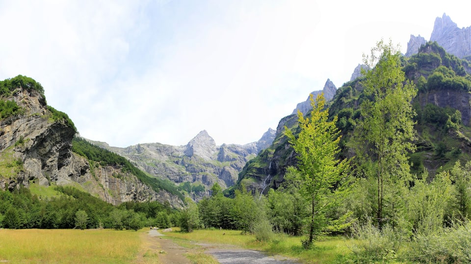 A mountainous landscape with a dirt path, dense green forest, and rocky cliffs.