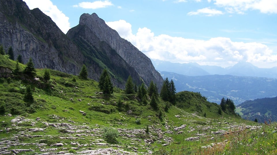 A mountainous landscape with rocky terrain, green grass, and scattered trees.