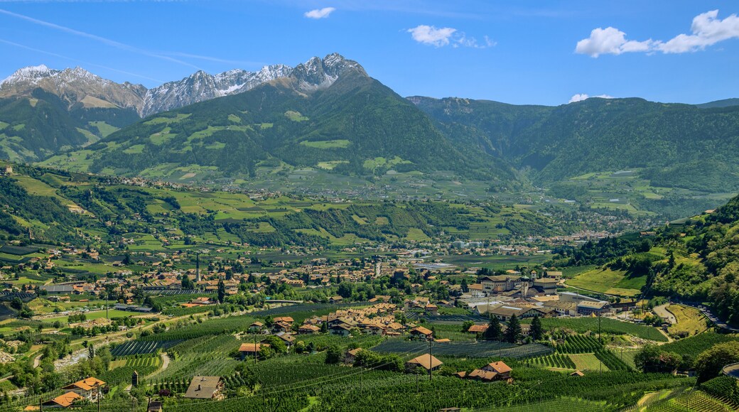 Algund, Forst und Meran