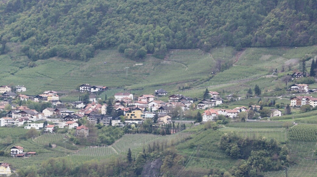 Panorama of the village Marling in South Tyrol