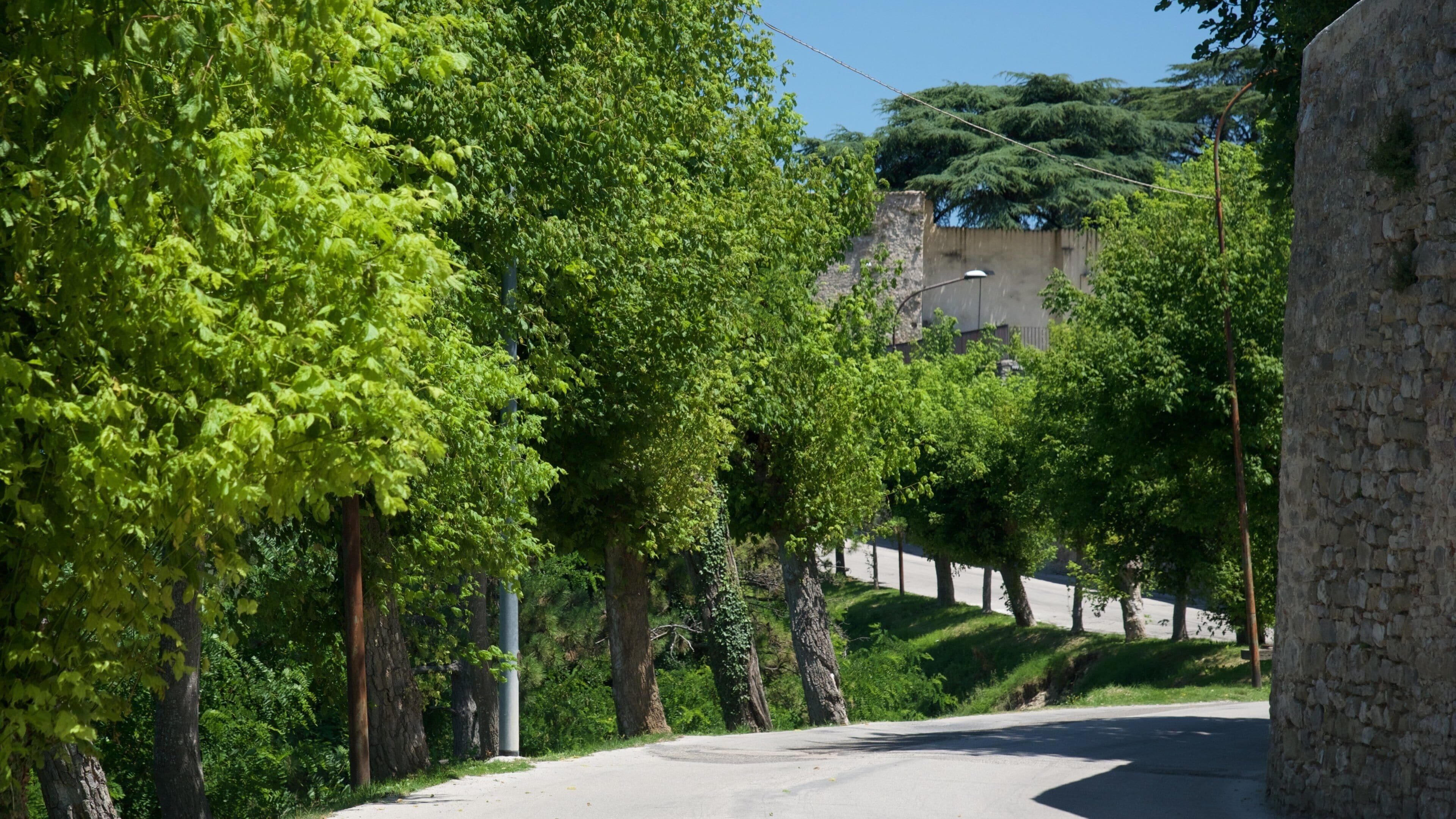 Montefalco mettant en vedette petite ville ou village