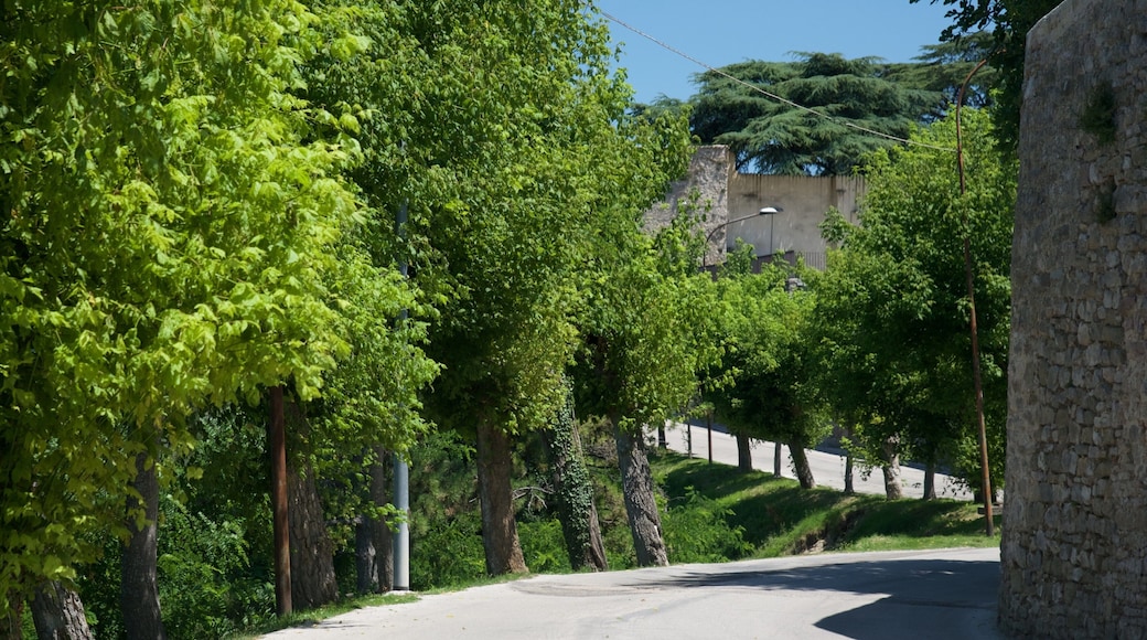 Montefalco เนื้อเรื่องที่ เมืองหรือหมู่บ้านเล็กๆ