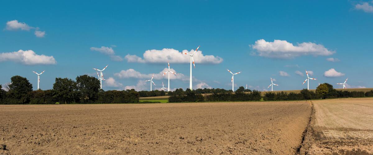 A wind farm with multiple wind turbines in a field under a clear blue sky.
