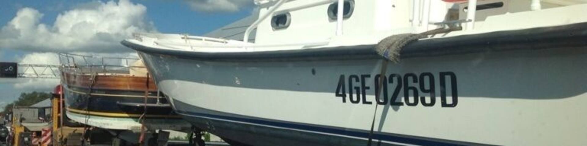 It is your typical Dutch traffic jam