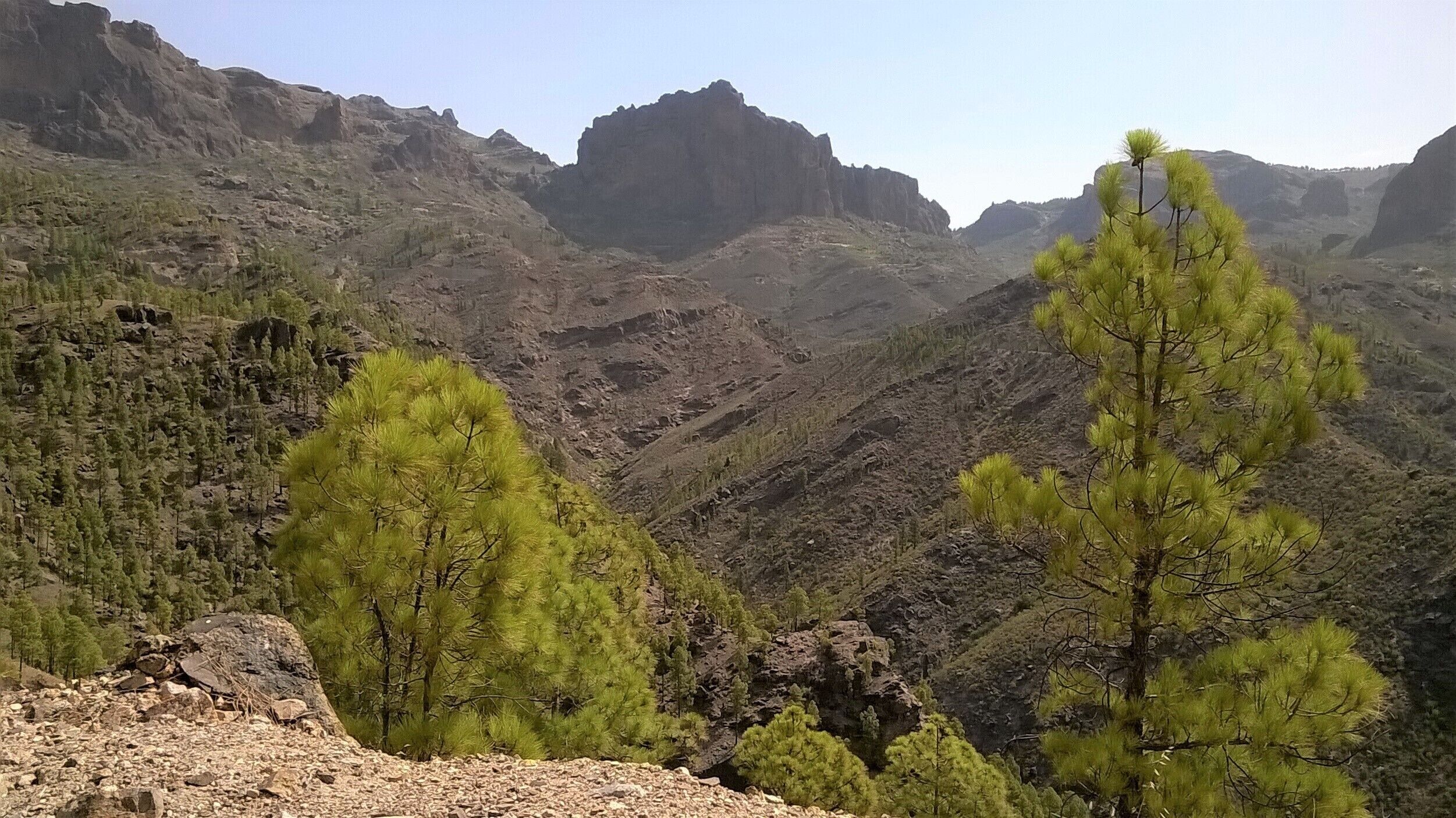 Journey through the central mountains. #Nature