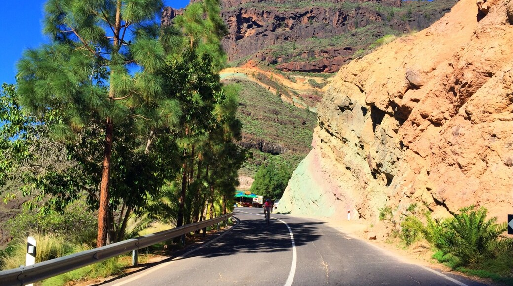 Colors of Gran Canaria.