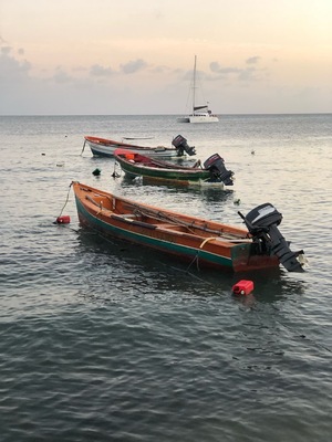 Fishing boats in for the evening.