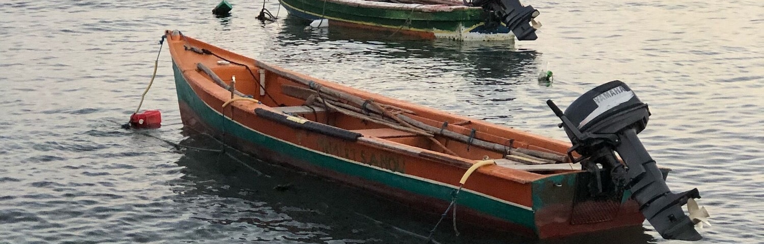 Fishing boats in for the evening.
