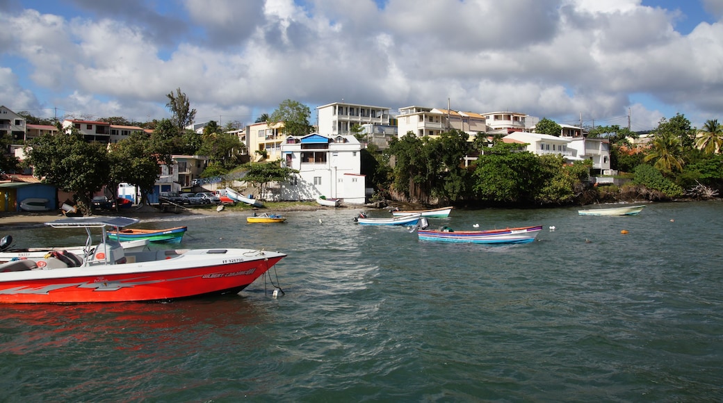 Santa lucía