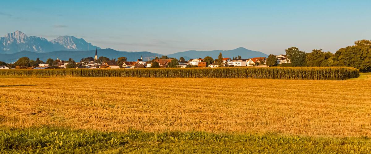 A rural landscape with a field of crops, a row of houses, and mountains in the background.