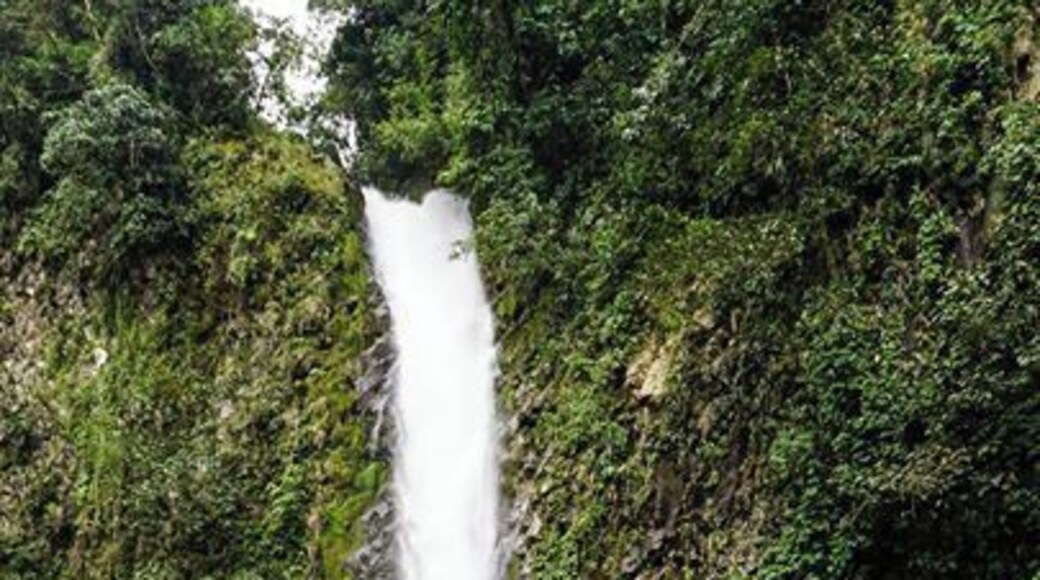 #lafortuna #costarica #waterfall #jungle #hiking #waterlust