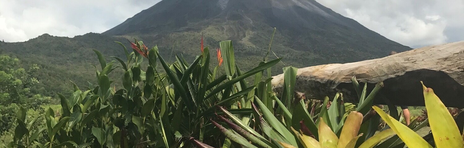 A mountain with a red flower in the foreground.
