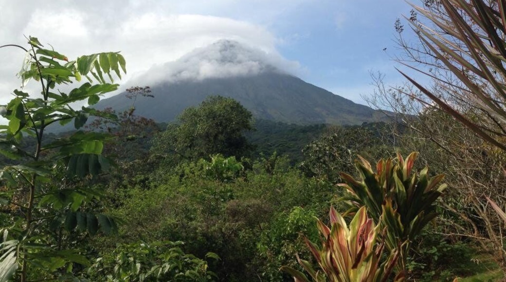 0_6bca5d1a-6b81-470c-baa2-47d085ddc20d_raw