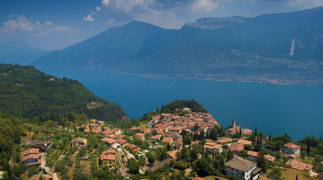 ๊ฐ๋ฅด๋ค ํธ์