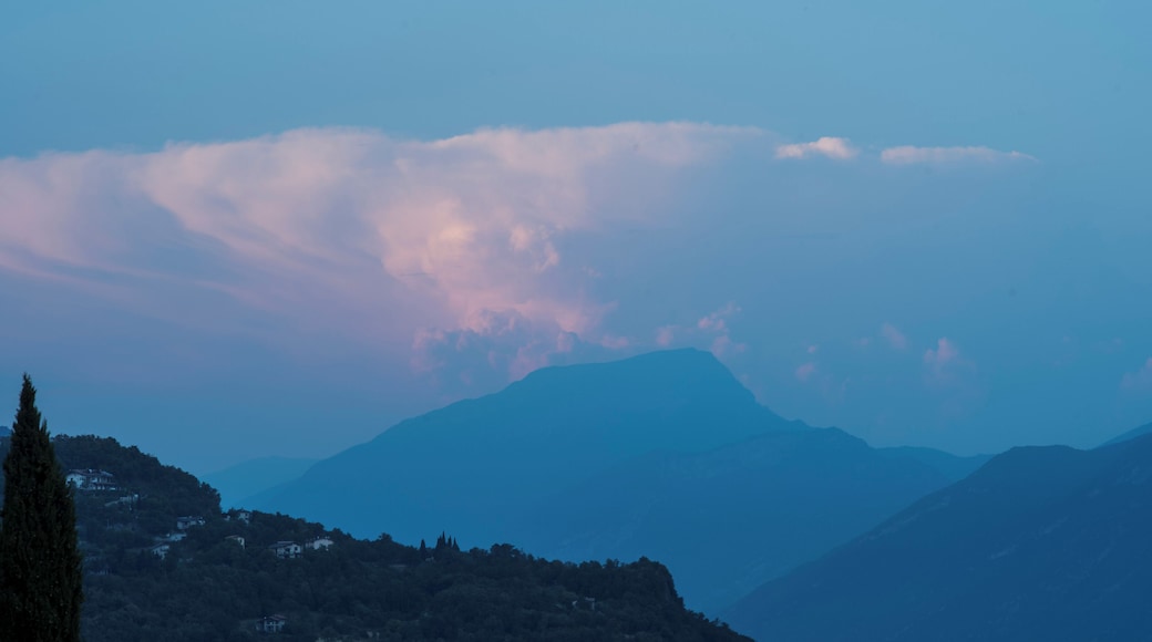 ๊ฐ๋ฅด๋ค ํธ์