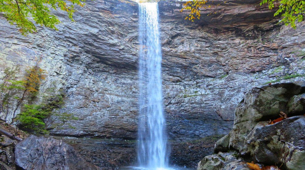Ozone Falls
#greatoutdoors
#nature